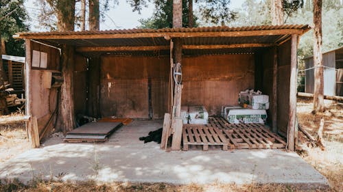 Foto profissional grátis de abandonado, agios gordis, apodrecer