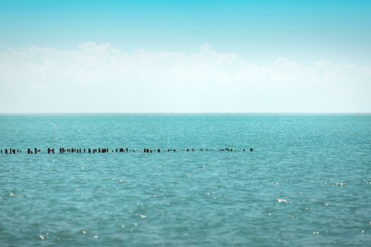 Serene view of calm ocean waters and horizon under a clear blue sky in Poti, Georgia.