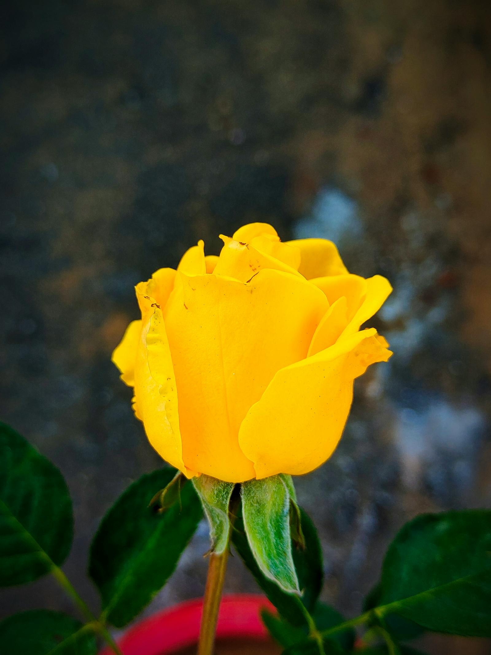 Bluewater Monohull Passage Prep