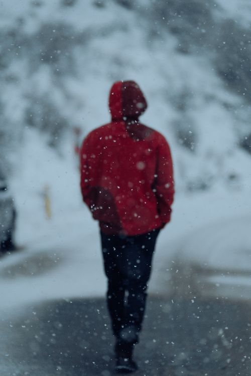 Free A solitary figure in a red coat walks down a snowy road during a winter snowstorm. Stock Photo