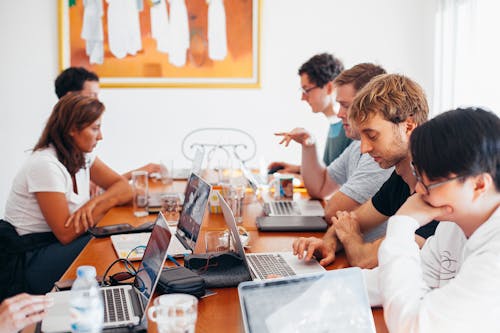 Group Of People Using Laptops