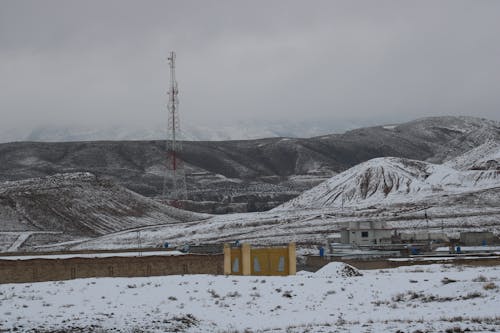 Countryside in Winter