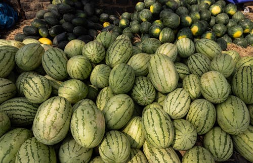 Watermelons on Market