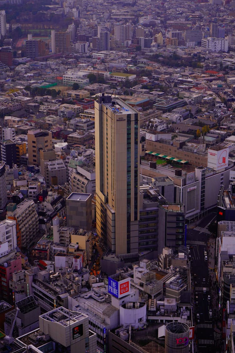 Skyscraper In City Area