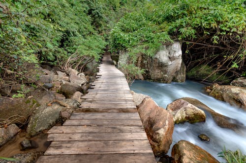 Foto stok gratis air mengalir, batu, jembatan kaki