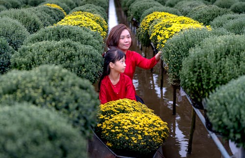 Бесплатное стоковое фото с азиатка, Азиатская девушка, вода