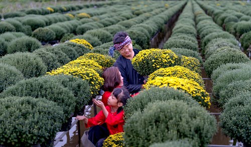 Daughter with Mother and Father in Garden