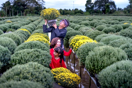 Mother, Father and Daughter among Plants in Garden 