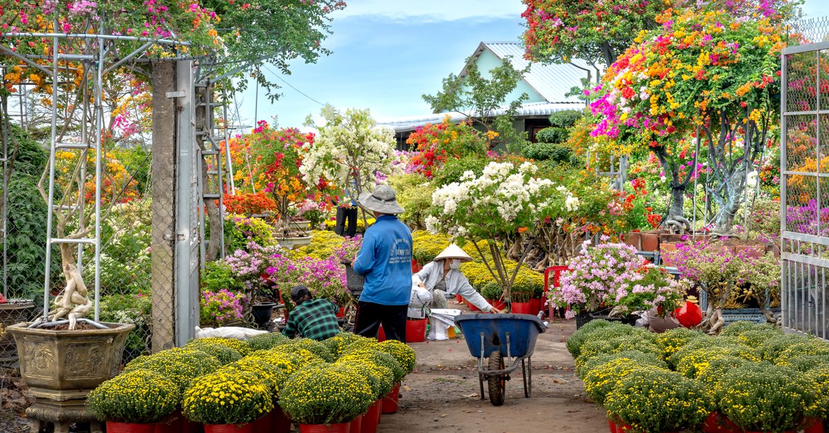 Préparer Votre Jardin Pour le Printemps : 10 Astuces Essentielles