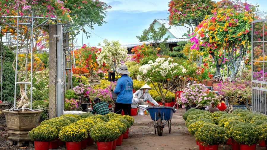 How to Buy a Greenhouse Without Overpaying or Regretting It