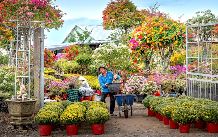 Gardeners Working In Colorful Garden