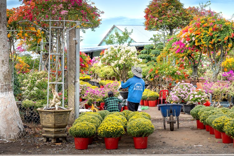 Gardeners Working In Colorful Garden