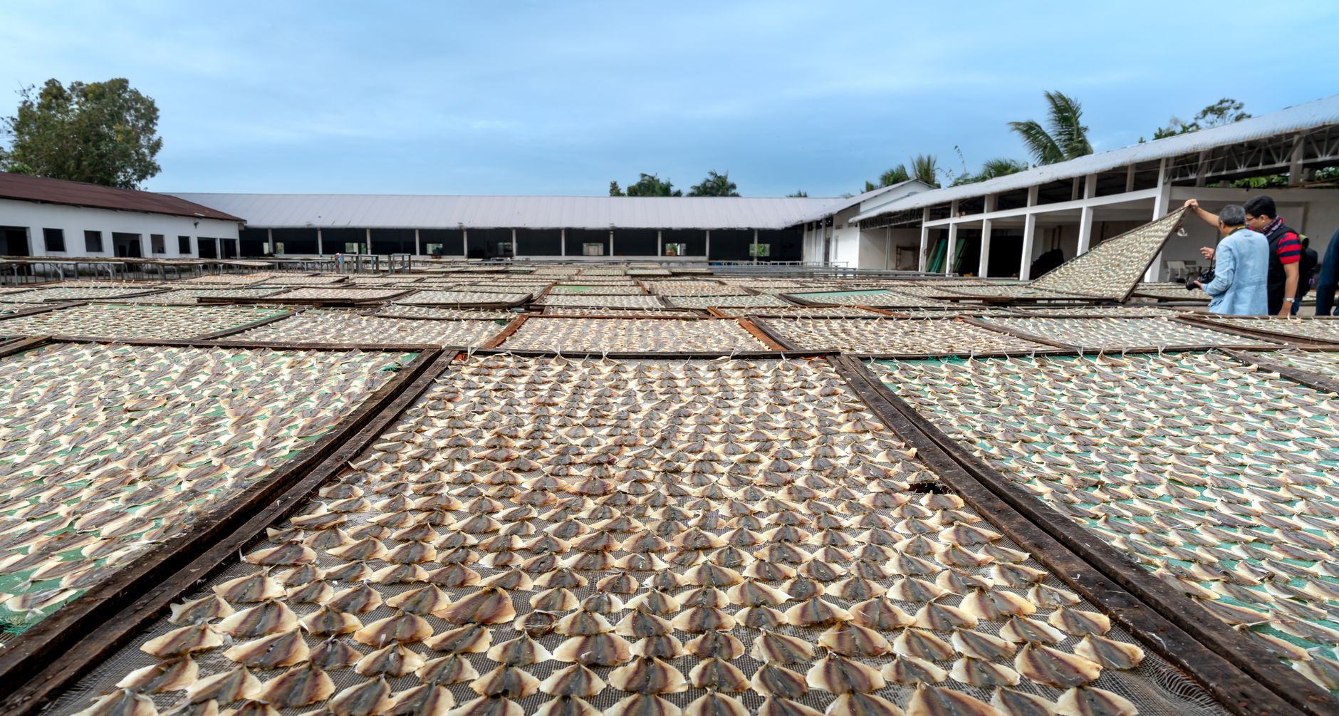 Atelier de transformation de poisson Toliara