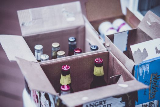 Variety of beer bottles displayed in open cardboard boxes.