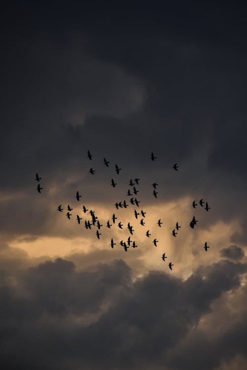 bulutlu gökyüzü, dikey atış, gece içeren Ücretsiz stok fotoğraf