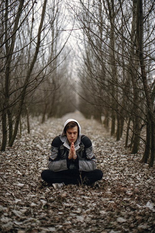 Free Man Wearing Gray Black Zip Hoodie Jacket Praying in Between Black Tree during Daytime Stock Photo