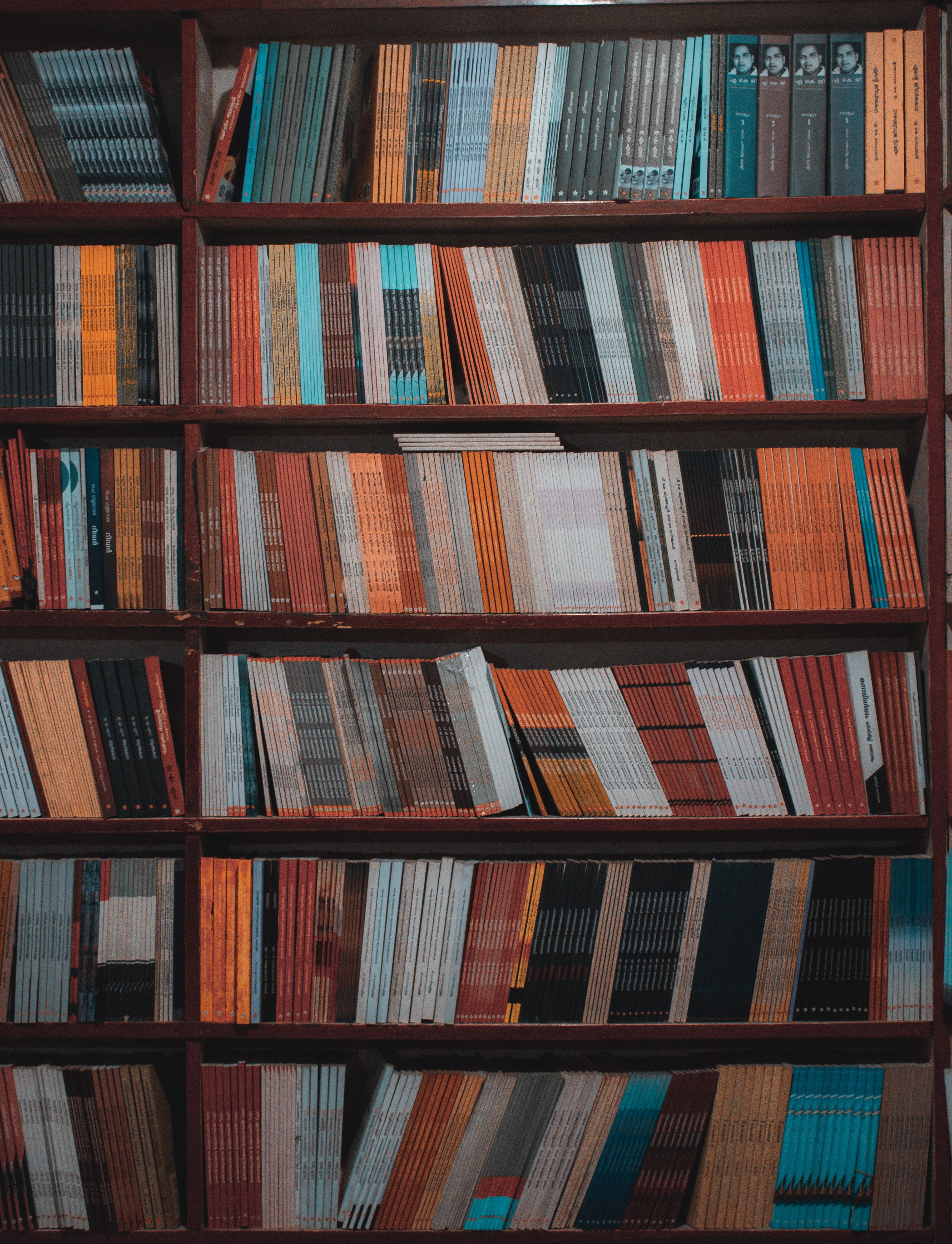 Vibrant library bookshelf filled with a diverse collection of books in a vertical arrangement.