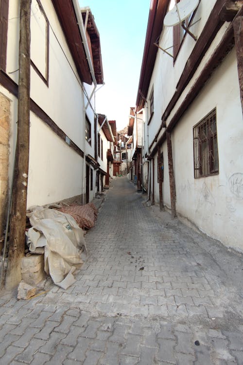 Brick Pavement in a Narrow Alley 