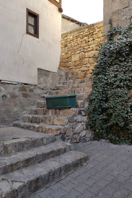 Stone Steps and Ivy on Wall 