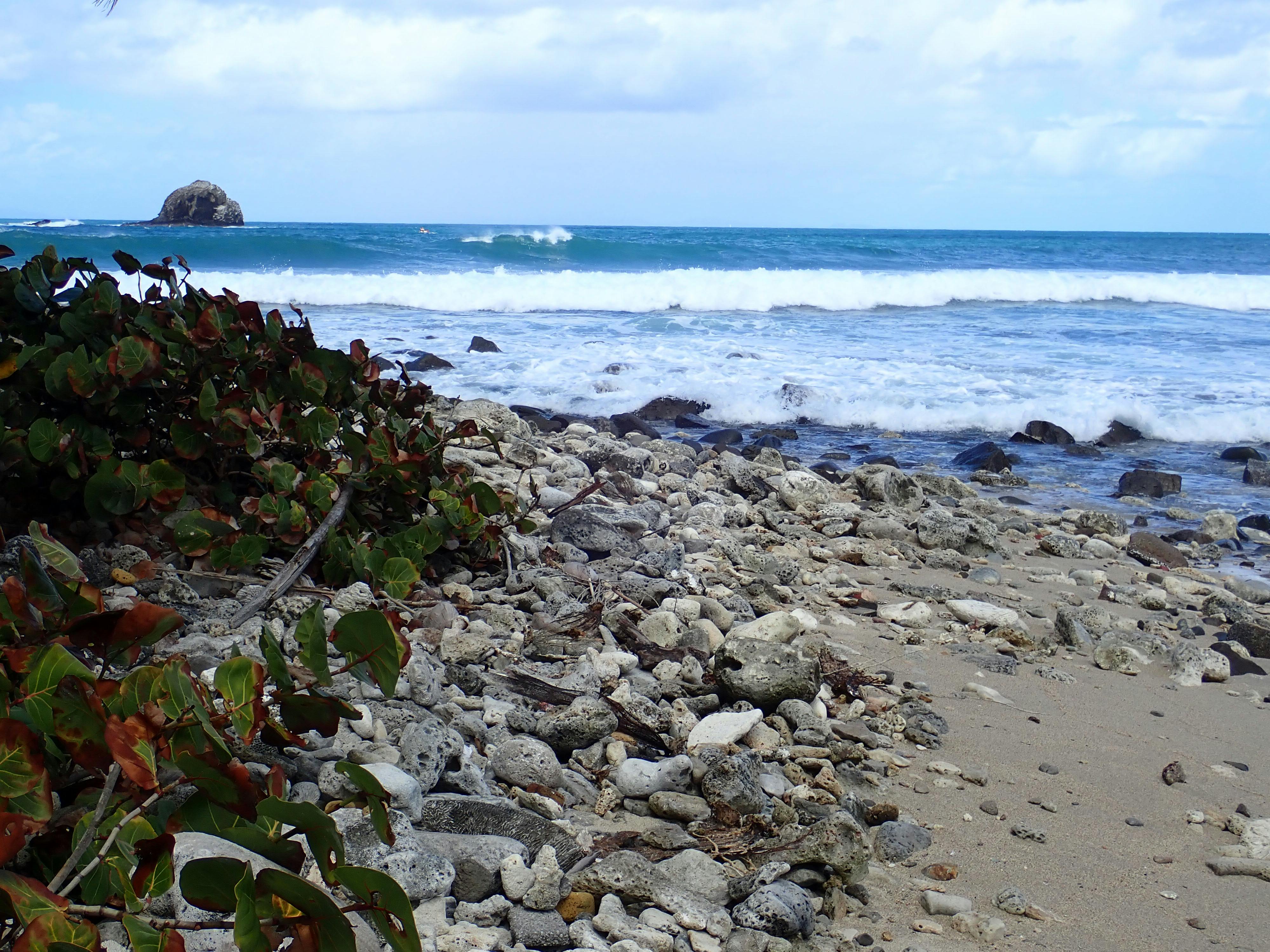 Foto Stok Gratis Tentang Pantai Batu