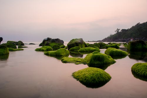 Foto profissional grátis de beleza na natureza, cair da noite, calmaria