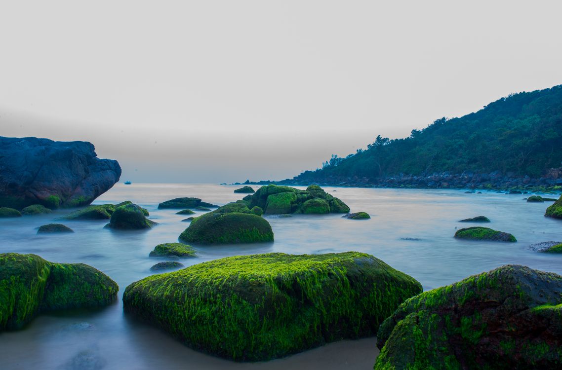 Moss on Rocks in Bay on Shore · Free Stock Photo