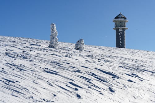 Trees and Tower in Snow in Winter