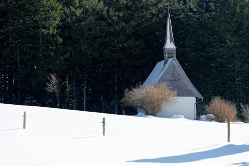 Kostnadsfri bild av kall, kapell, kristendom