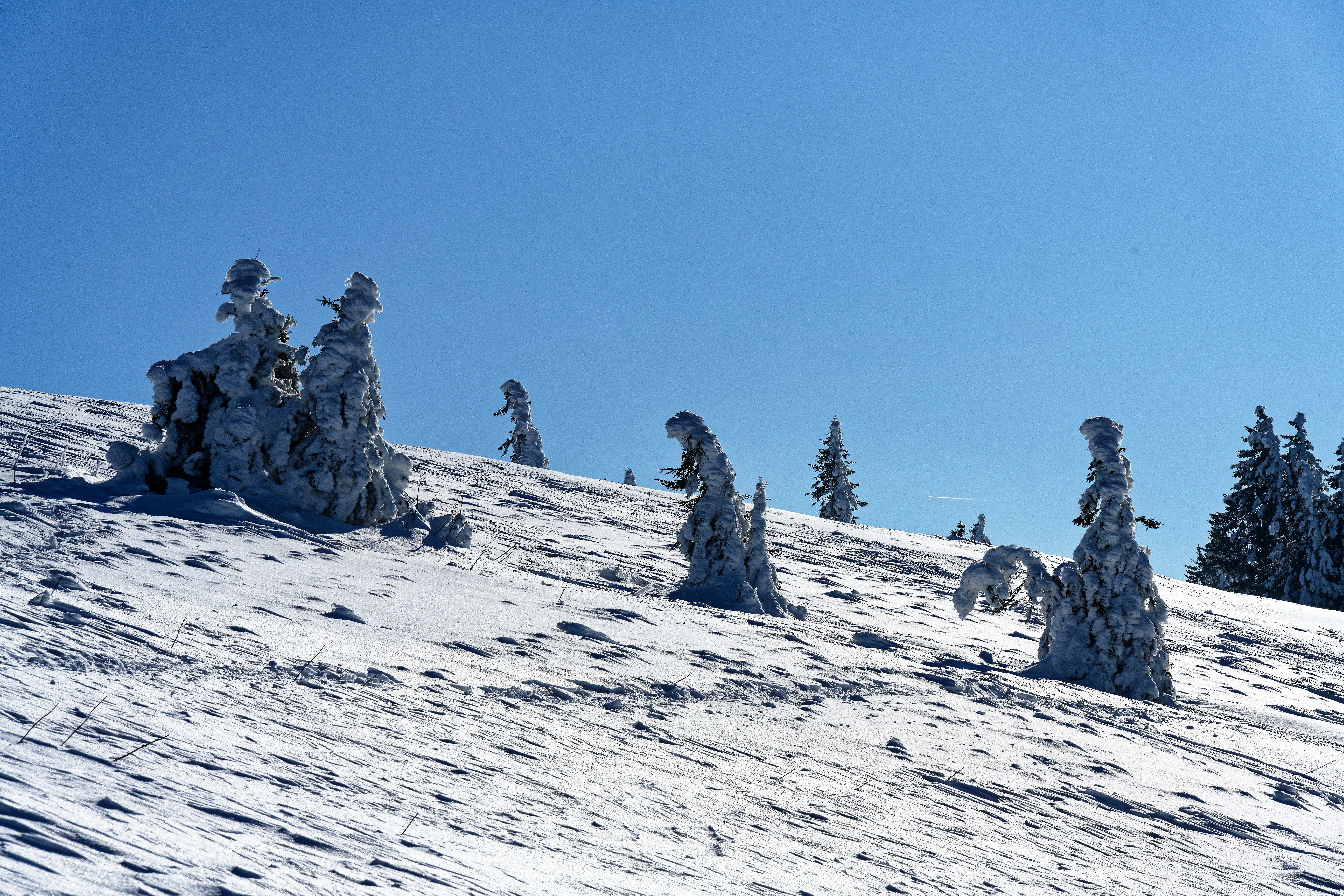 Feldberg — Feldberg
