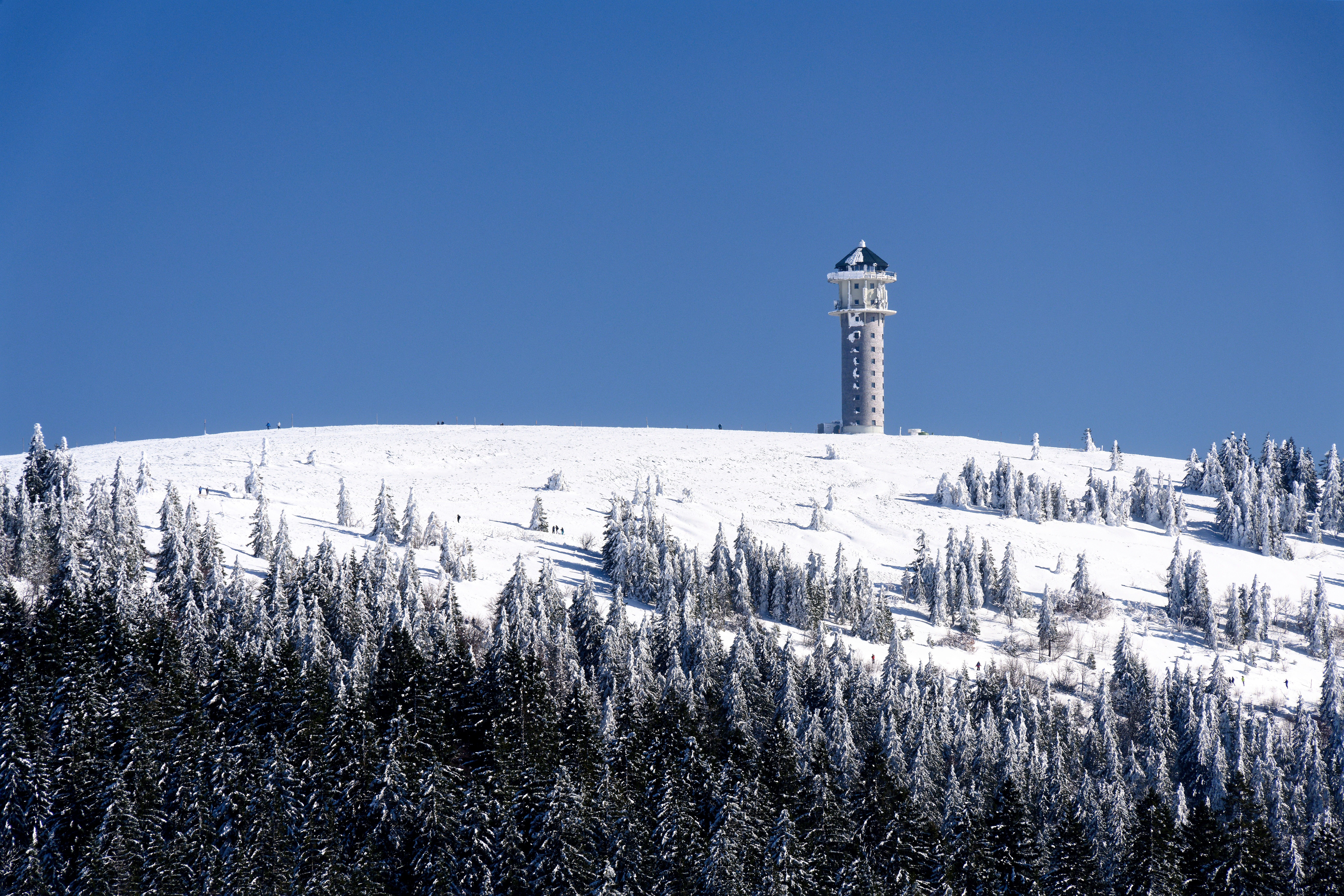 Feldberg ( Baden Wuerttemberg )