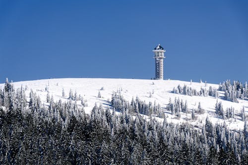 Clear Sky over Hill in Snow