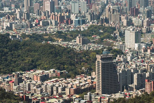 Forest in Sunlit City