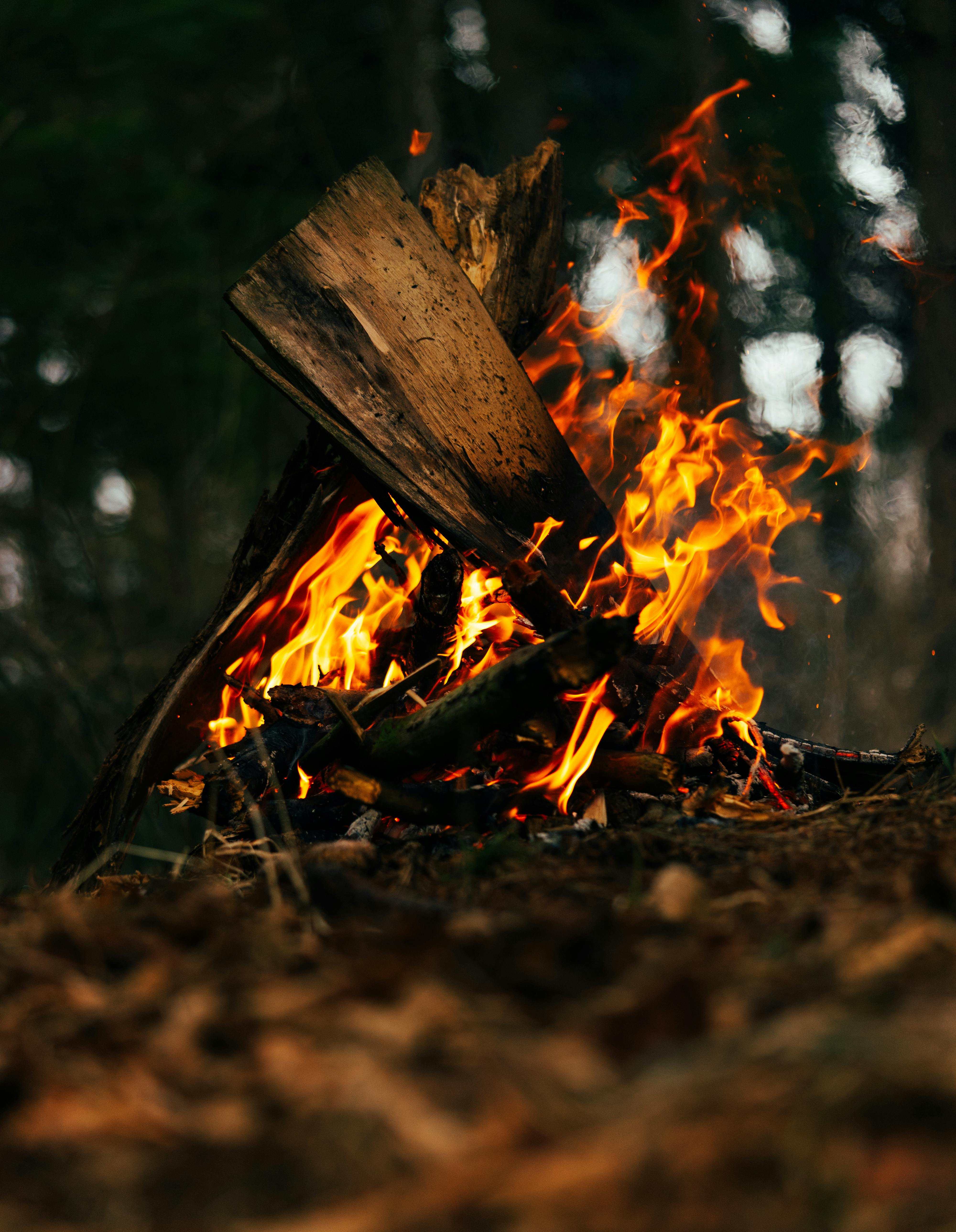 Free Fire Lock Screen Wallpaper Photos, Download The BEST Free Free