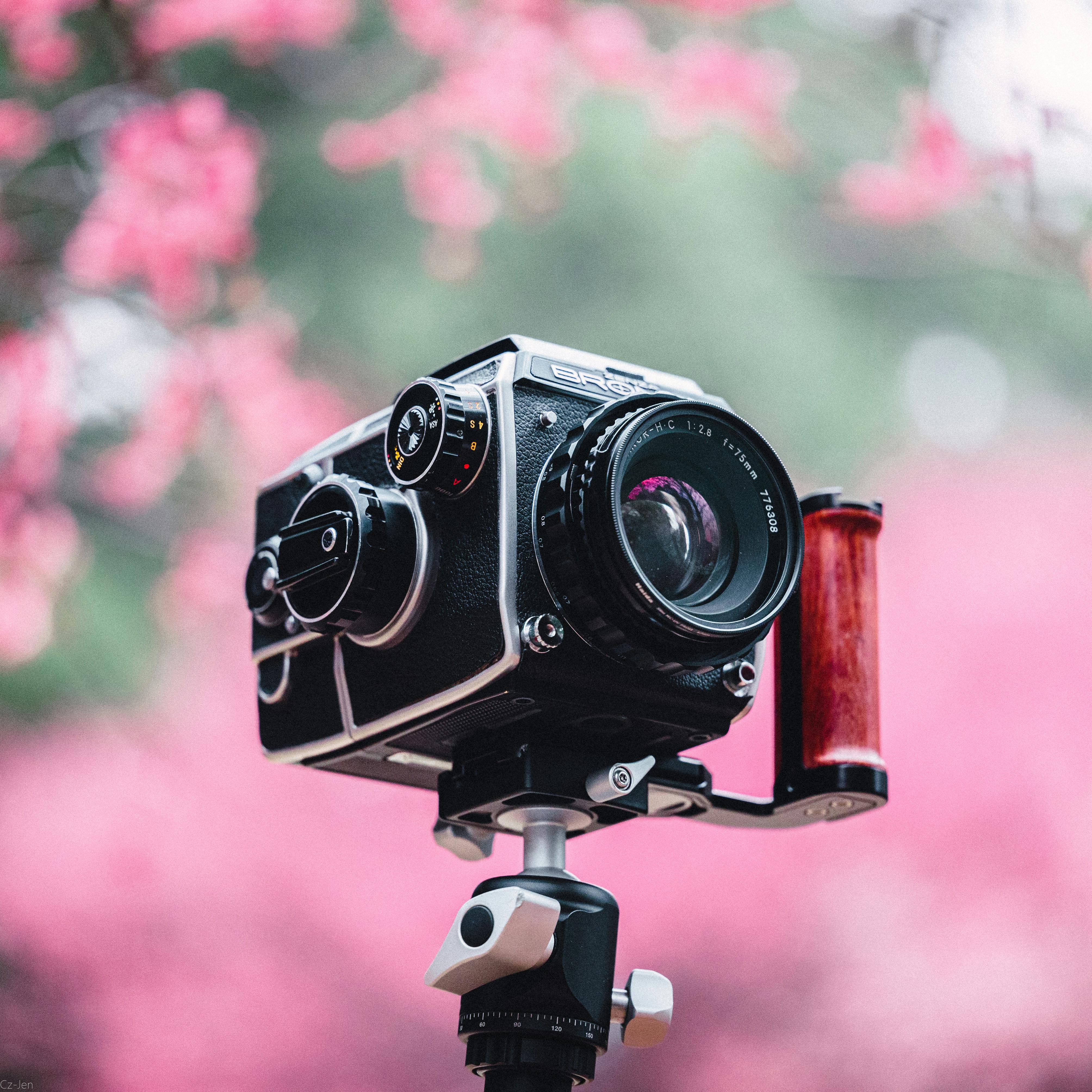 Retro Camera Between Springtime Flowers · Free Stock Photo