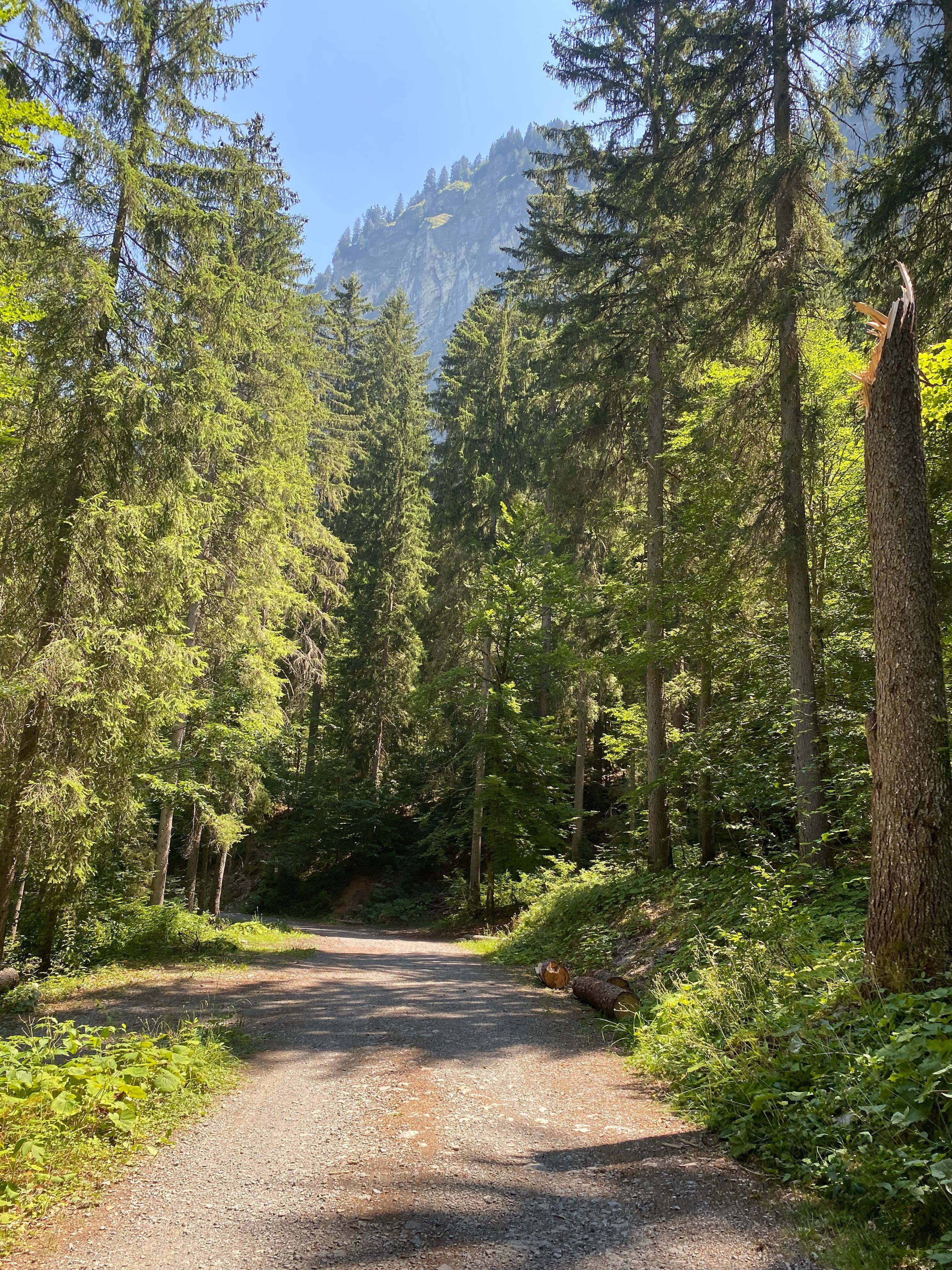 Path in a Mountain Valley in Sunlight · Free Stock Photo
