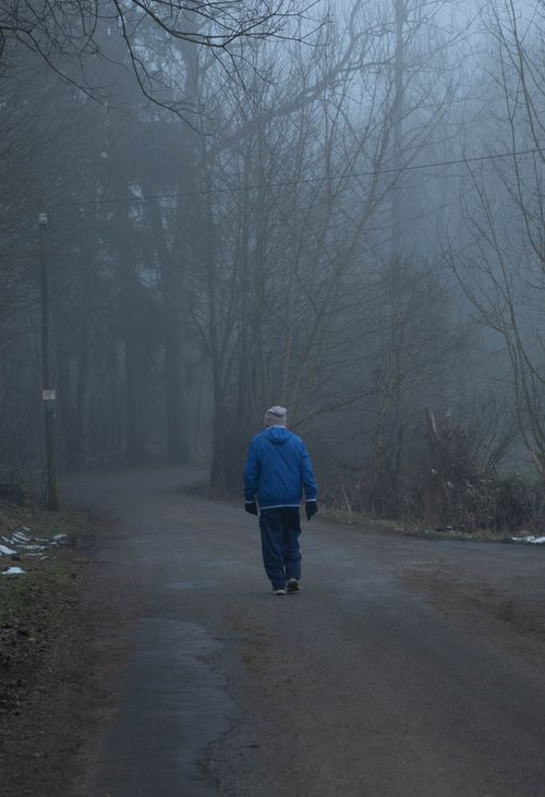 Free A person walks alone through a foggy, misty autumn forest path, creating a serene and solitary scene. Stock Photo