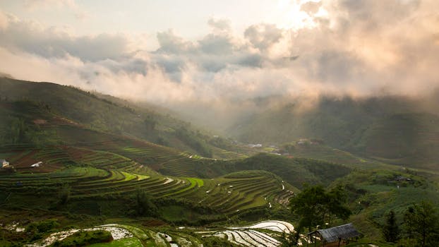 越南亚的梯田在清晨薄雾和云彩的环绕下，风景如画