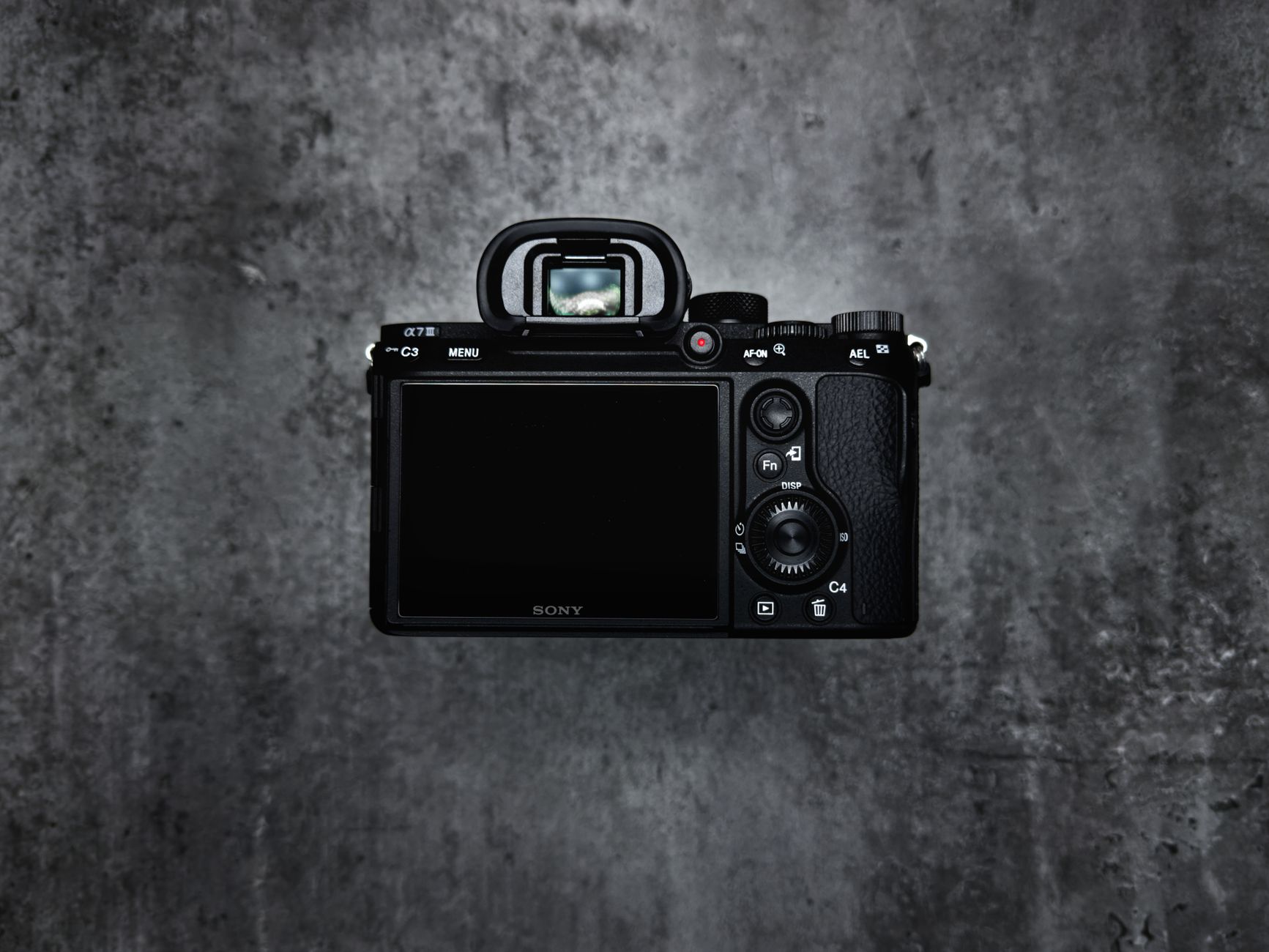 5 Camera Must-Haves