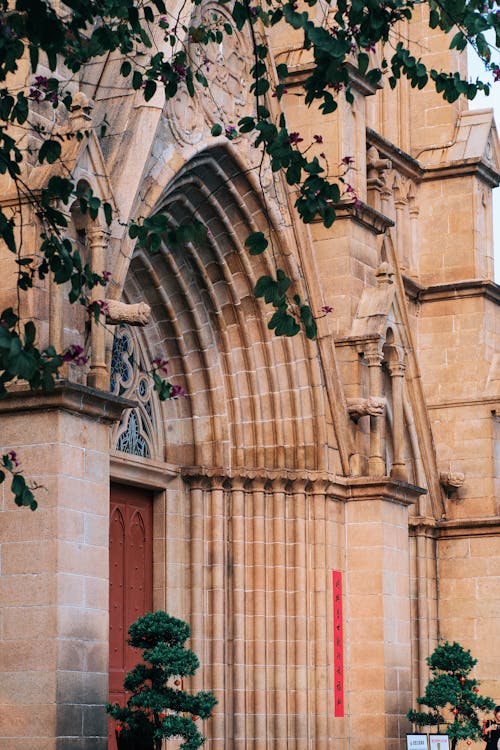 Foto d'estoc gratuïta de arbre, arquitectura gòtica, catedral