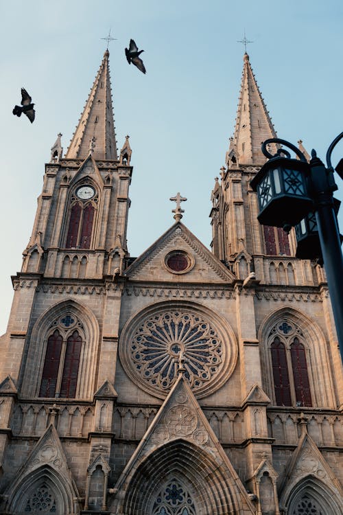 Foto d'estoc gratuïta de arquitectura gòtica, catedral, Església