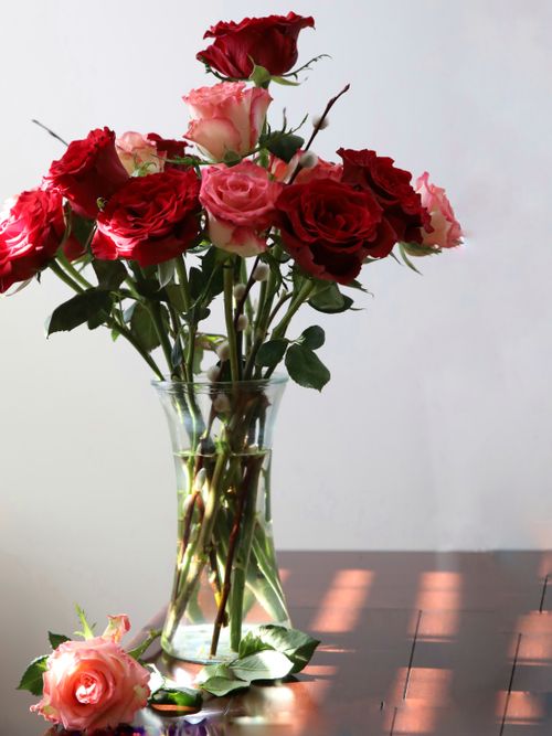 Free Elegant arrangement of fresh red and pink roses displayed in a clear glass vase, perfect for romantic occasions. Stock Photo