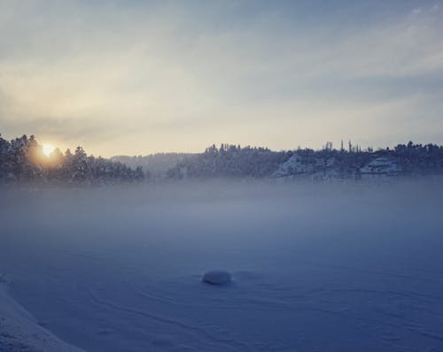 Fog over Snowy Field at Dawn
