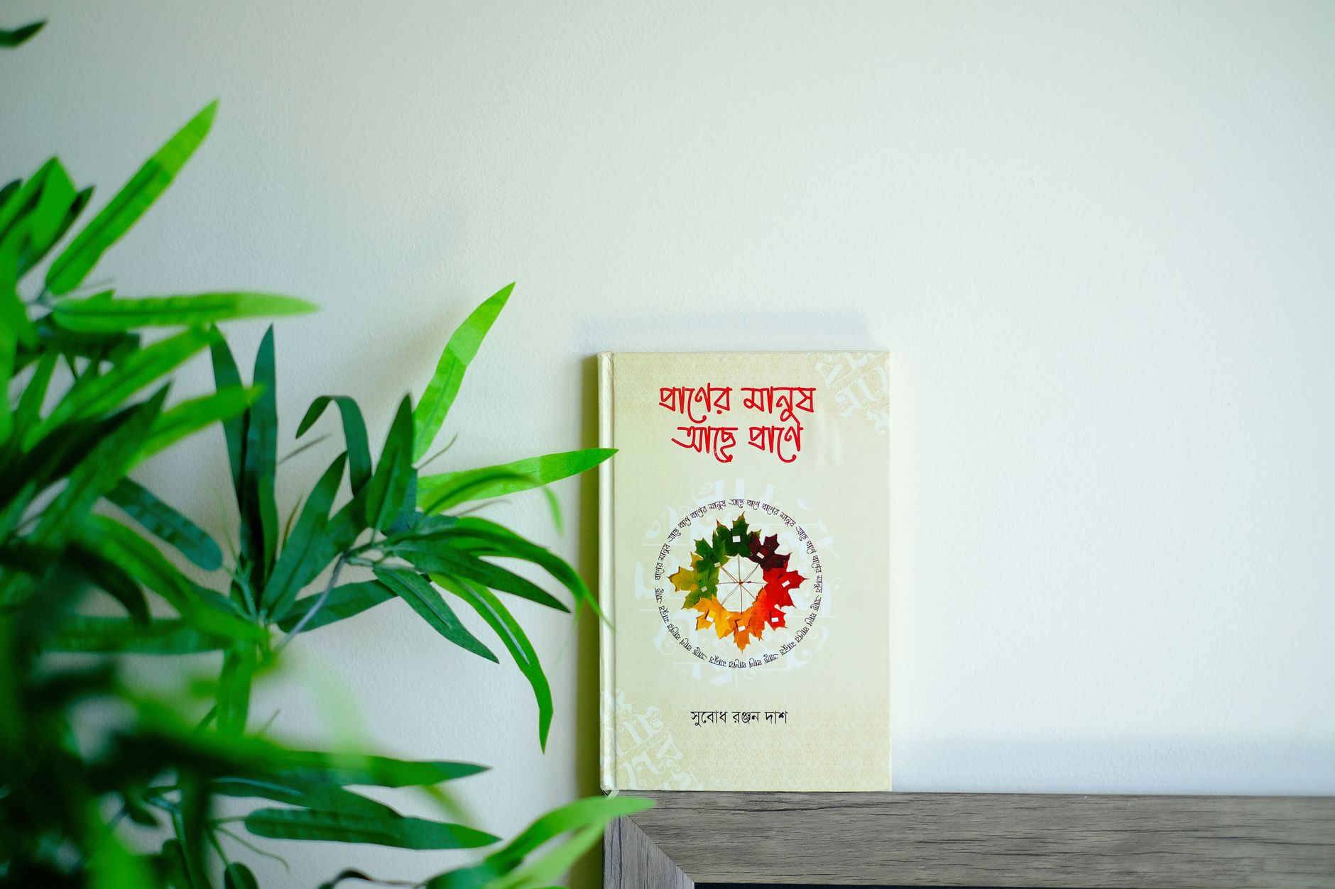 পাত্তি গল্পের বিশ্লেষণ ডেস্কে তিন পাত্তি এবং রামি গেমের চার্ট, নীল আলোয় সতর্ক গবেষণার পরিবেশ
