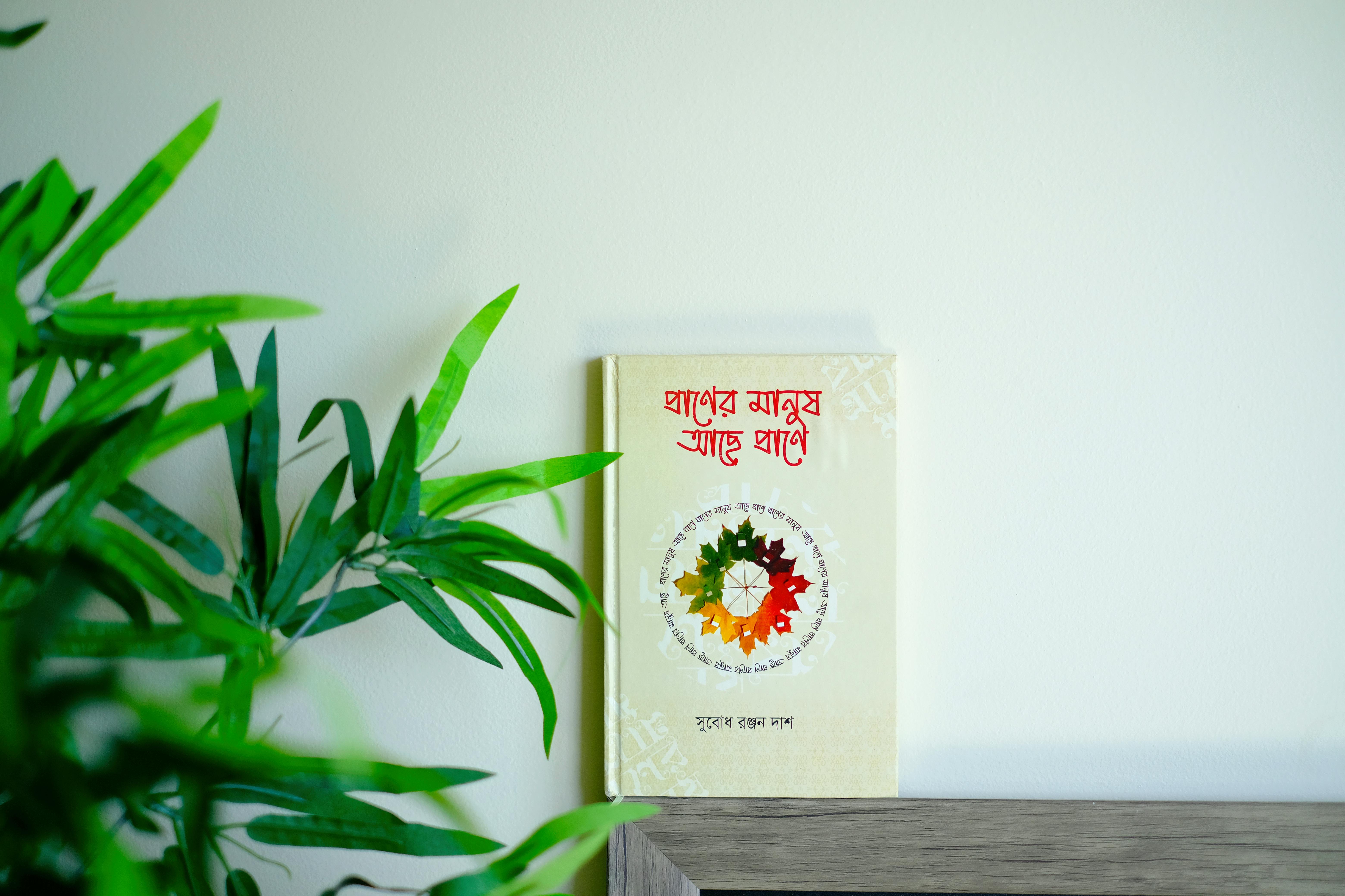 Book designer photos download the best free book designer stock photos