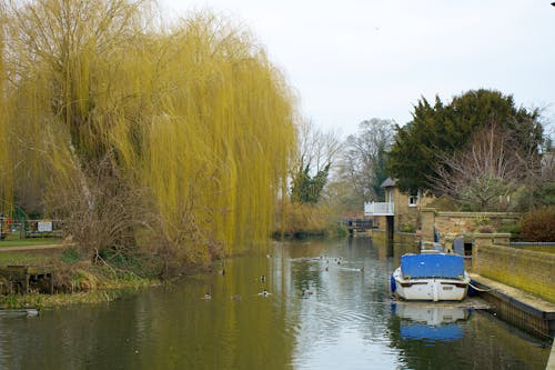 Free River Great Ouse Stock Photo