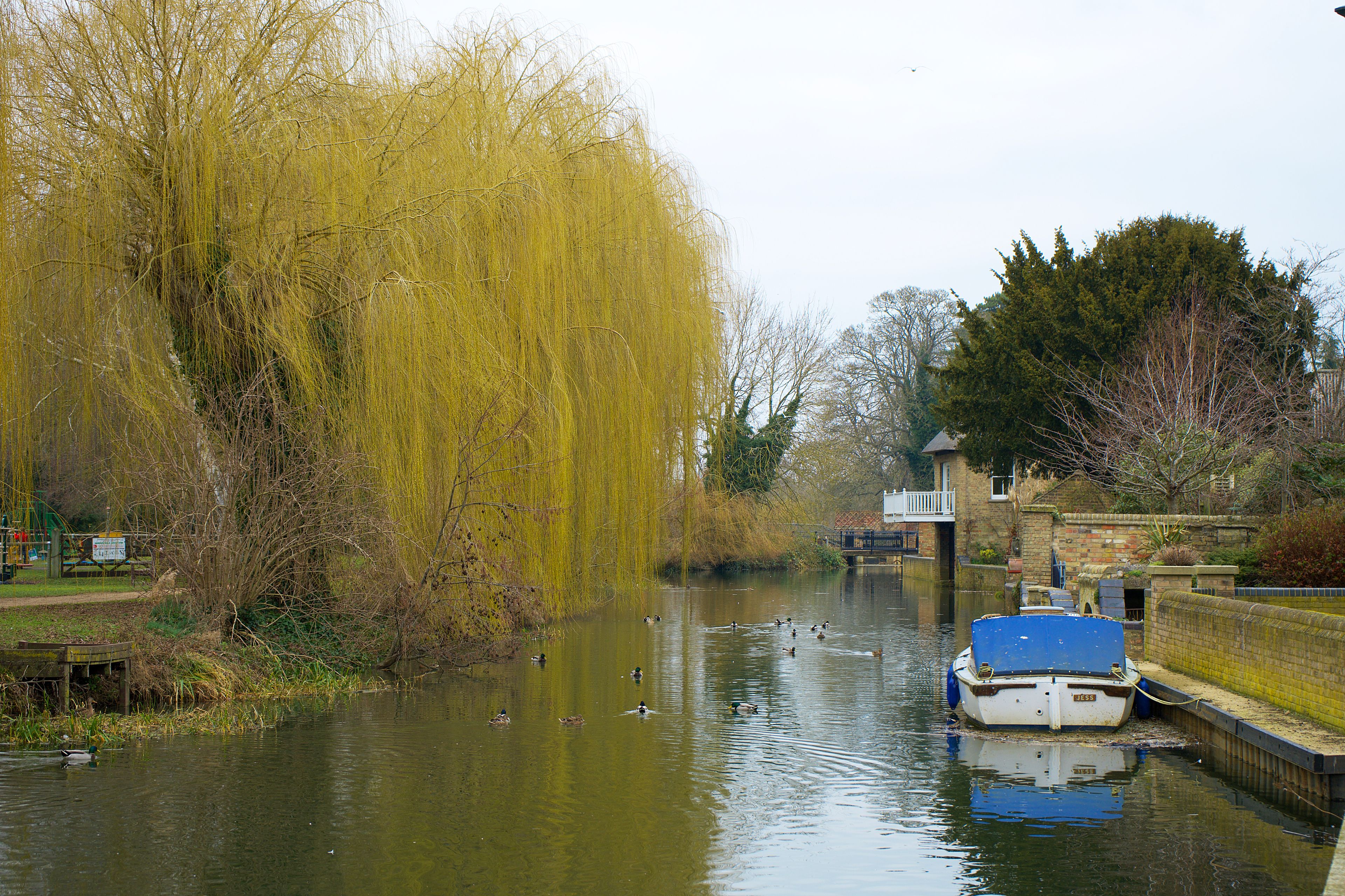Chauffeur Services in Epping — luxury chauffeur travel