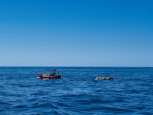 De franc Foto d'estoc gratuïta de aigua, barques, cel blau Foto d'estoc