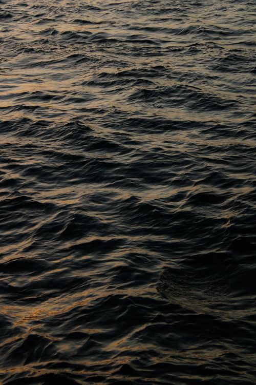 Free Close-up view of ocean waves during sunset, capturing the rich textures and colors of the water surface. Stock Photo