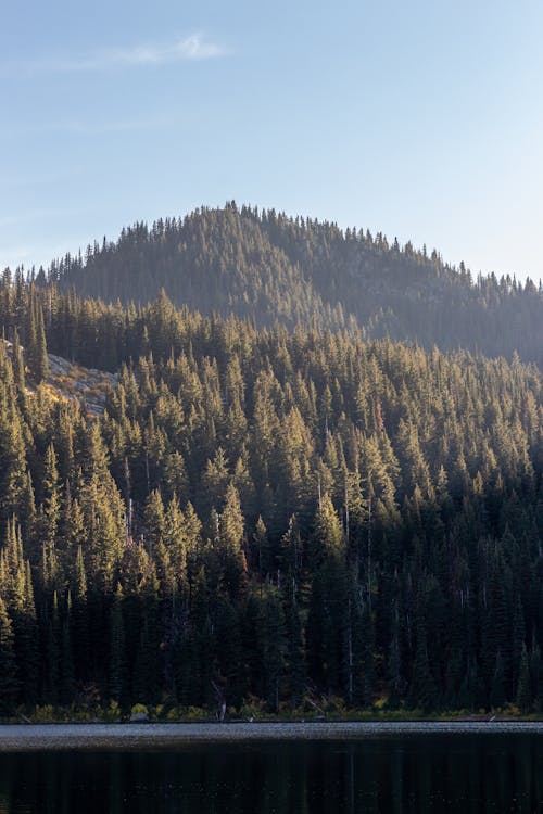 Δωρεάν στοκ φωτογραφιών με backpacking, idaho, iphone 11 ταπετσαρία