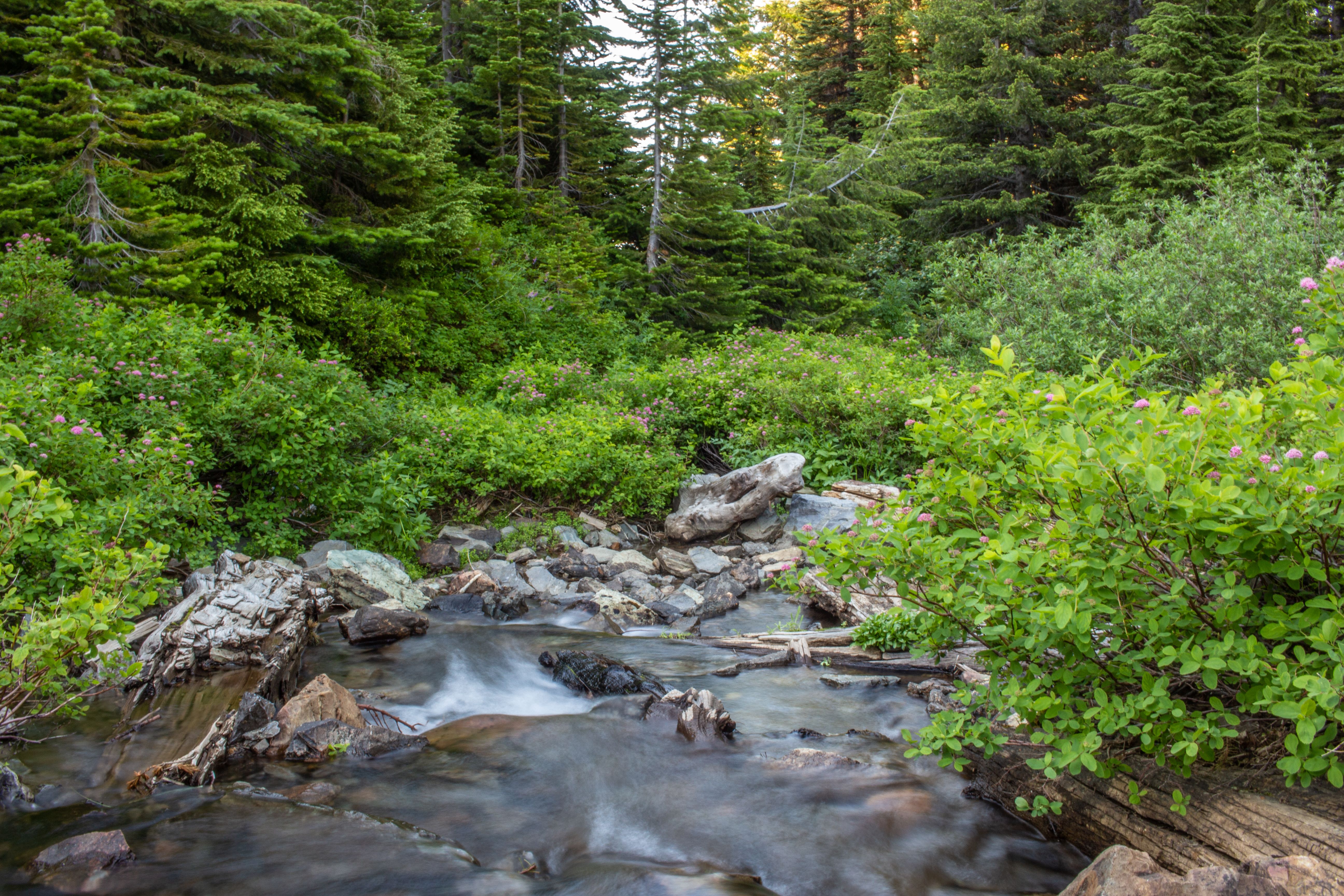 Idaho mountain hot springs forest stream